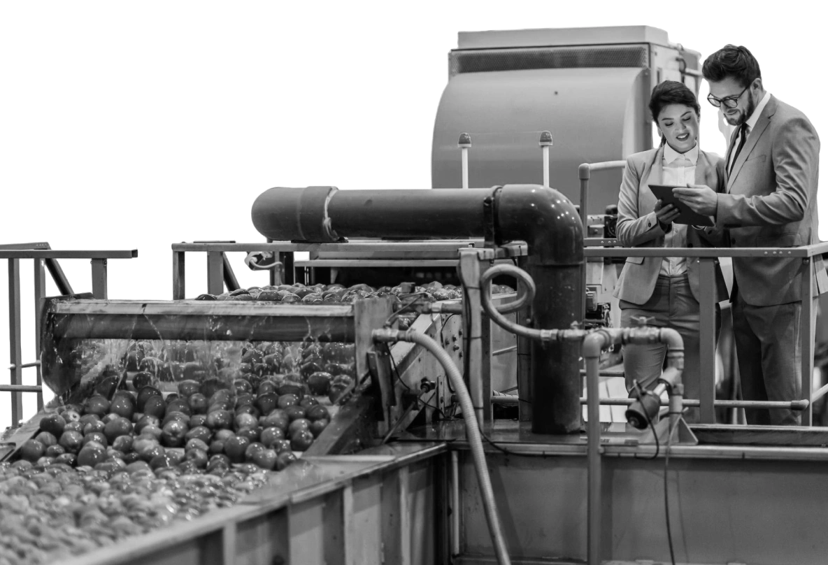 Hidden Energy Savings in Food & Beverage Production